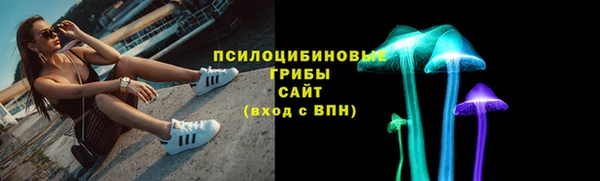 бошки Богородицк