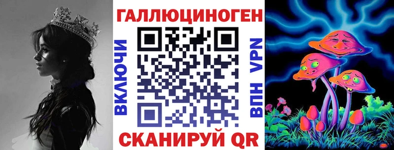 блэк спрут сайт  Михайлов  Галлюциногенные грибы Psilocybine cubensis  как найти  